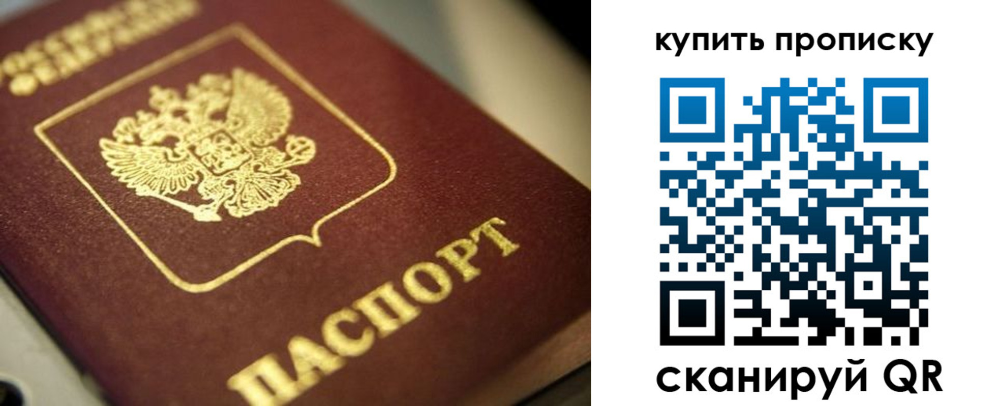 прописка поиск в Кизеле